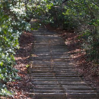 山頂までもう少し🐾