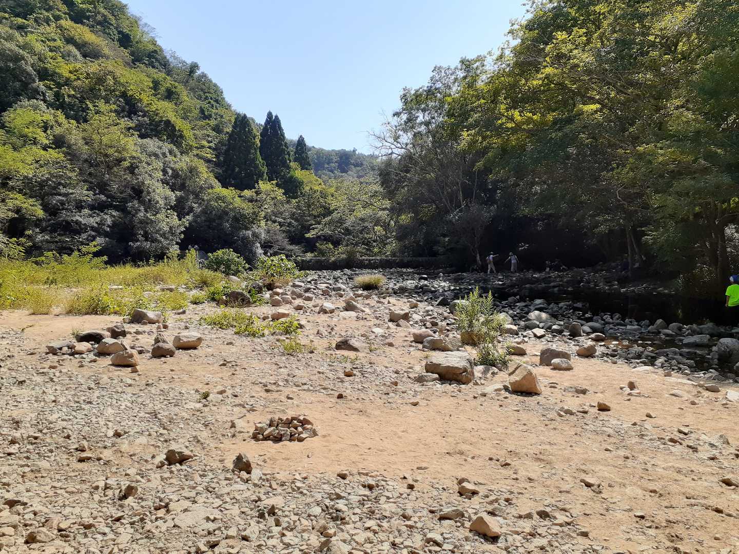 鵯越駅-石井ダム登山口-菊水山-鍋蓋山-再度越-大竜寺バス 縦走コースの写真