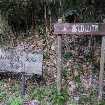 伏姫籠穴に到着、ここに案内板とトイレあり