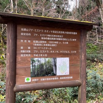 どうか温暖化に負けず！遺伝資源希少個体たちが生き残って欲しい