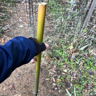登り口の竹の杖をお借りしました👍