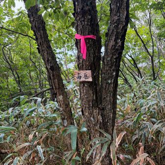南岳👍🏻
展望なし
引き返します

戻った瓢ケ岳でおやつを食べ下山🍘
