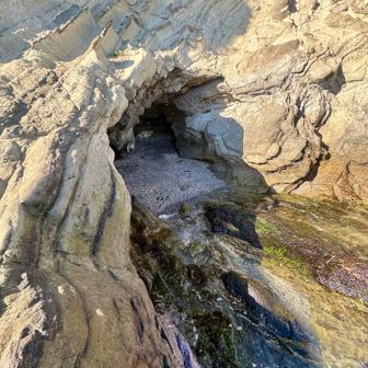 裏にまわり、洞窟発見！

中に何かいる！