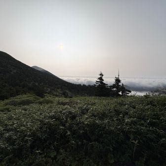 寄り道して正解。雲海が幻想的。