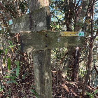 左に少し下り、登り返します。少し急です。