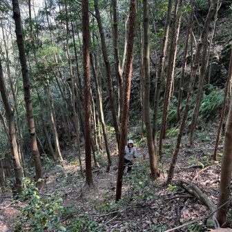 相方、運動不足すぎて泣きそう笑