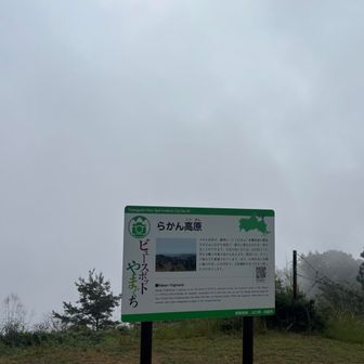 ビュースポットのビュー抜き
しかたなし
