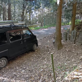 又、少し、入り口近くの垂れ下がる真竹を切った。
切り揃えて、御十八夜にまた持って帰ることにする。
さあ、出発！