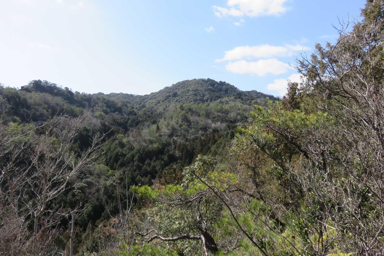 向かいのあのお山は大梅山でしょうか？