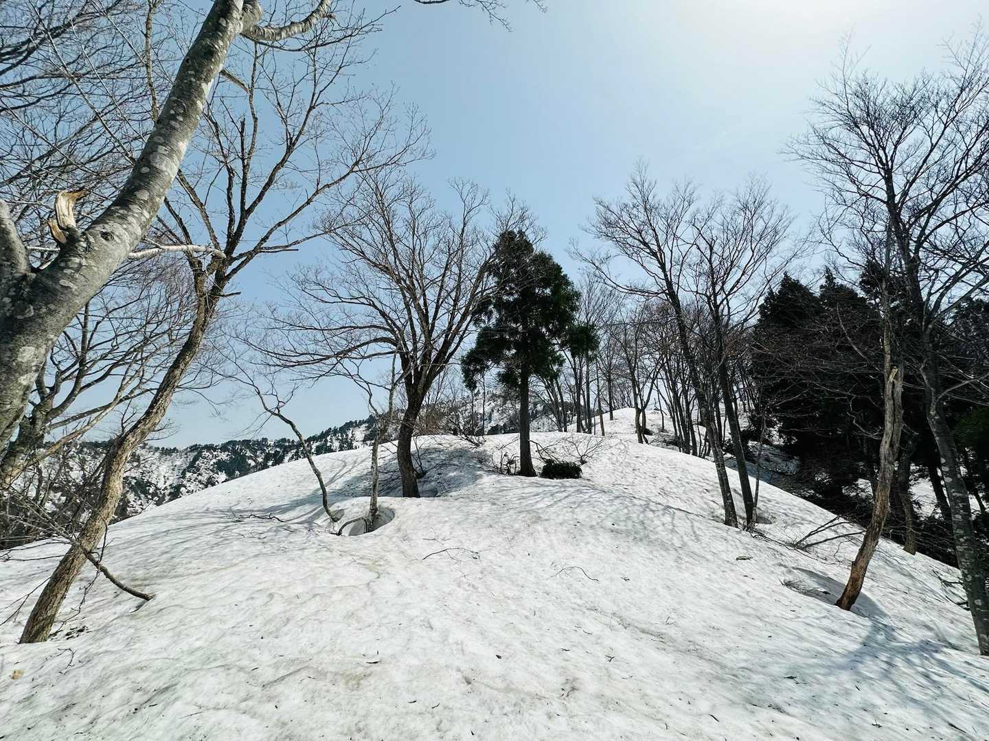標高1000mから山頂まではずーっと雪上歩き🚶
キノピーは終始ツボ足で歩いたけどチェンスパ若しくは軽アイゼンは必ず持参して危ないと感じる前に必ず装着して下さい⚠️滑落したら止まらない斜面が何ヶ所かあります⛄️

勿論キノピーはチェンスパ＆軽アイゼンザックに携行してます。