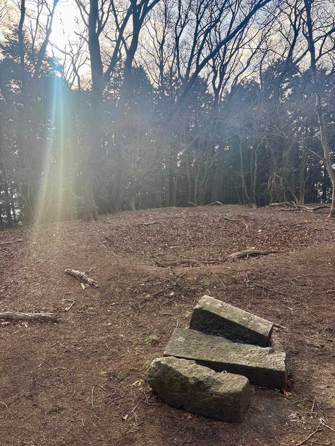山頂は広くて居心地良い⭕️