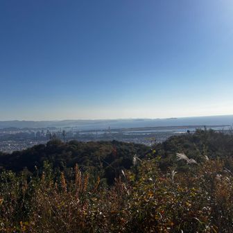 和歌山の街と海
今いる甲山は大阪府だそうです😄