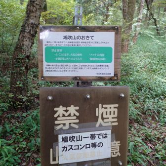 鳩吹山のおきて！