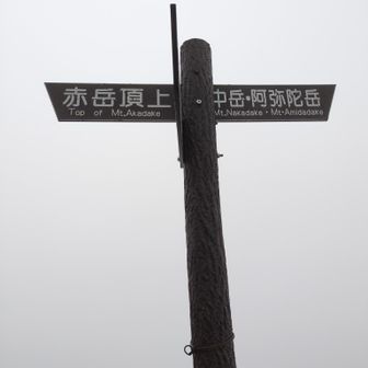 やっと尾根に出たと思いきや、まだまだ急登