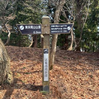 床嶺の家へ行ってみます