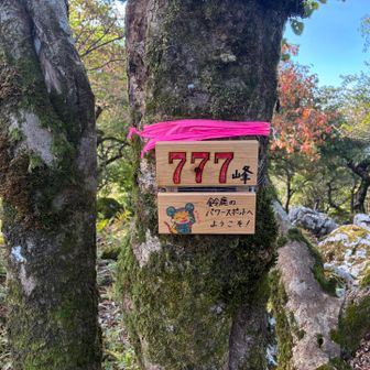 777峰に到着🐾
800座到達！