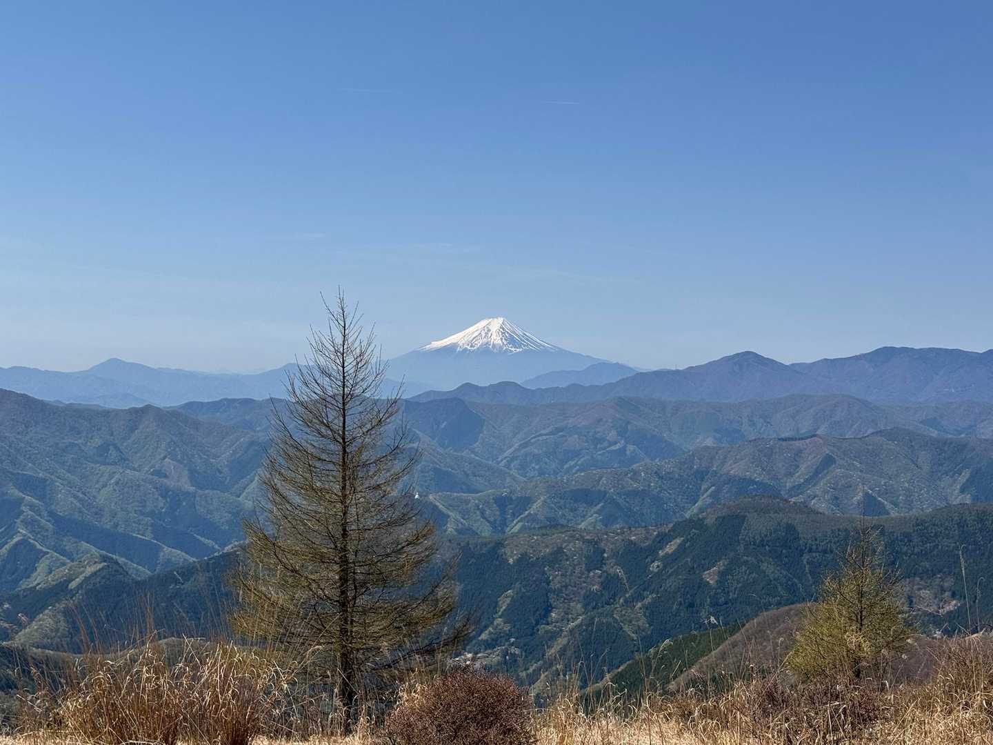 山頂の途中から