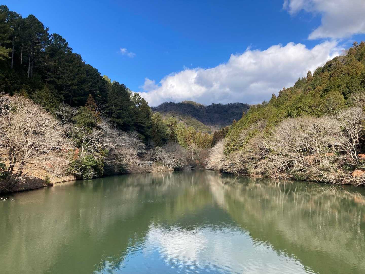定番の写真