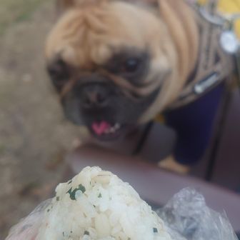 「おにぎりタイム！」