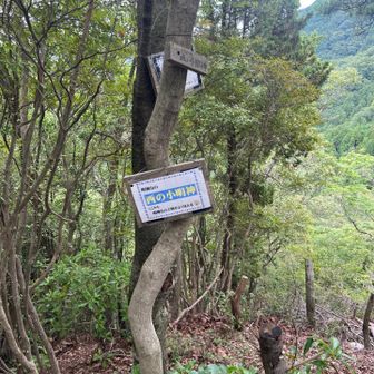 折り返し地点の西の小明神です、眺望はありませんが、今日はソロ登山がメインの私なのですがいつもの登山とは趣を変え、バリエーションルートでのロープワーク、ルート確保の見極めと、滑落に対する判断力を目的としているので明神山には登ません。