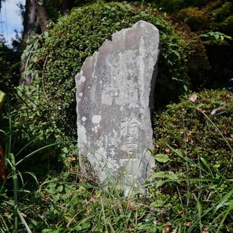 十一丁目まで戻って来た。これは十一丁目の丁石。

「茶屋の時計を見れば三時十五分也。」

大町桂月は帰りの汽車を気にして十一丁目茶屋の時計を見た。このとき15:15。浅川駅16:08発の汽車に乗る予定だったので、あと53分。十一丁目から浅川駅（今の高尾駅）までは、YAMAPの標準コースタイムだとだいたい1時間半ぐらい。
大町桂月はここから蛇滝方面へと下った。