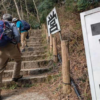 駐車場への階段💦💦
頑張りました〜
１日長かったけど、
見たかったお花が見れました。
ありがとうございました🙇