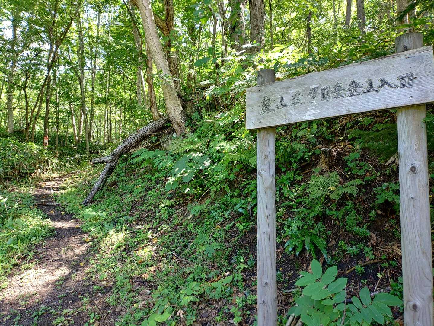 神社奥に登山口