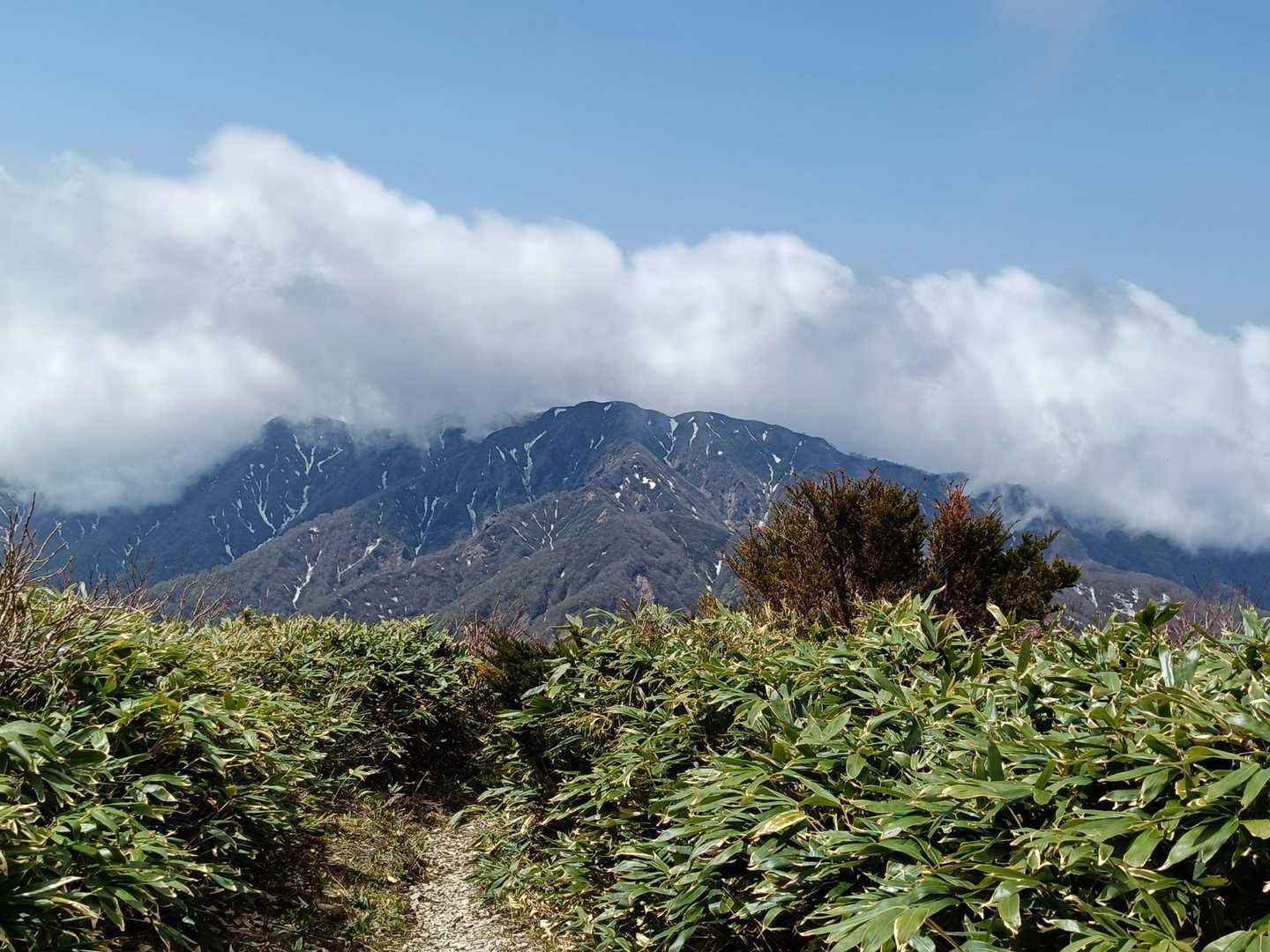 小原峠-赤兎山 往復コースの写真