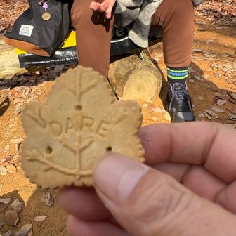 カナダのお菓子をいただきました🍪😊