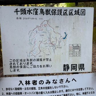 深南部