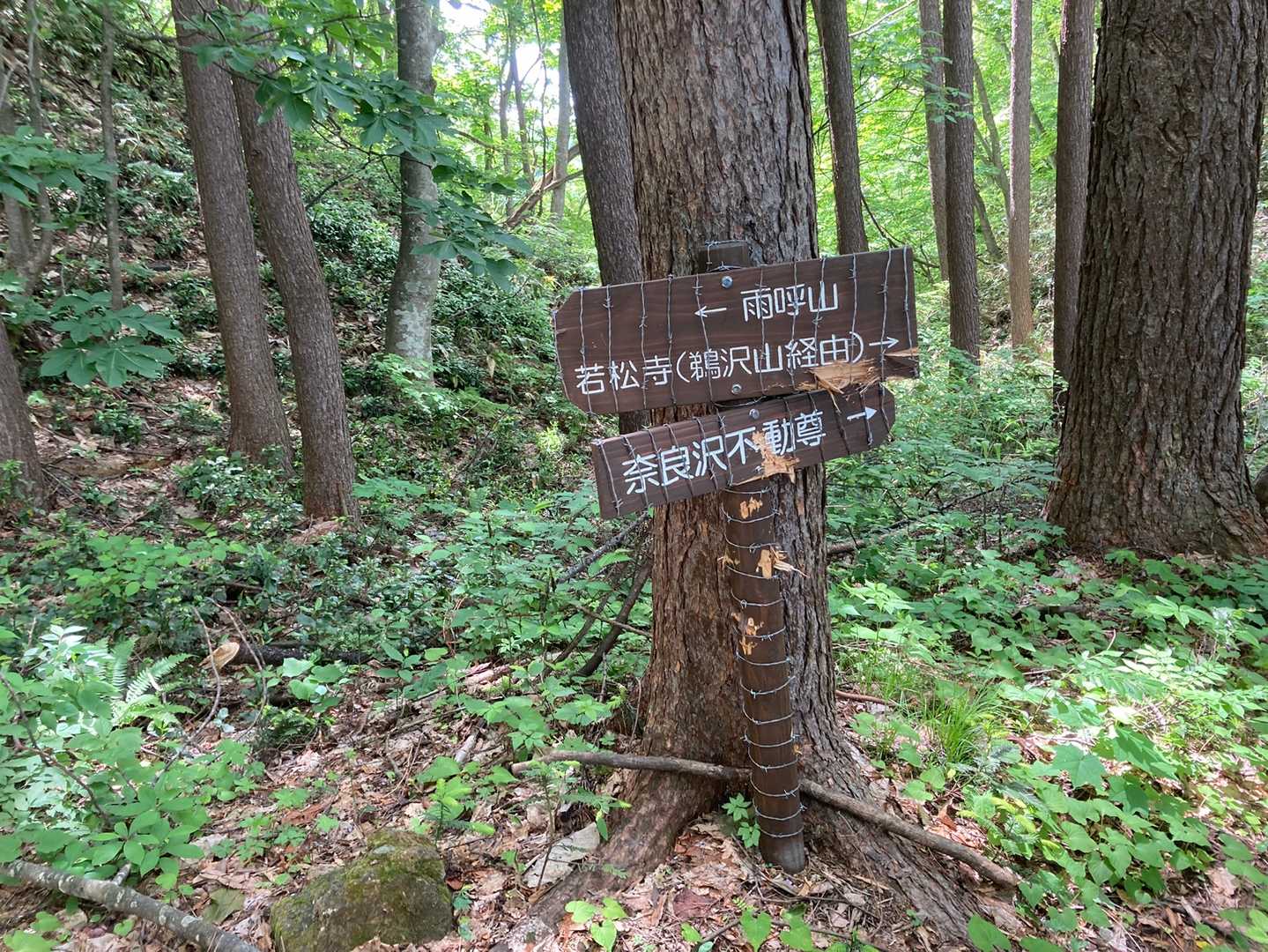 若松観音〜鵜沢山〜雨呼山〜山寺と行く奥山駆けルートというのもあるらしい