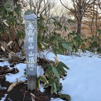 大高根山　山頂△

どの山頂も山頂らしい山頂でした
杉林を抜けると全体的に遮るものが少なく
見晴らしが良かったです
新緑の景色も素敵でしょうね〜♪