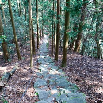 そこからの下りは階段地獄でした。最後の最後でこれはしんどかった