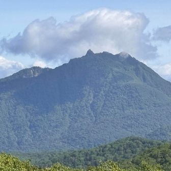恵庭岳
見慣れた風景だけど全部見えてるし山の中に身を置ける幸せ😊万計山荘まで降りましょう