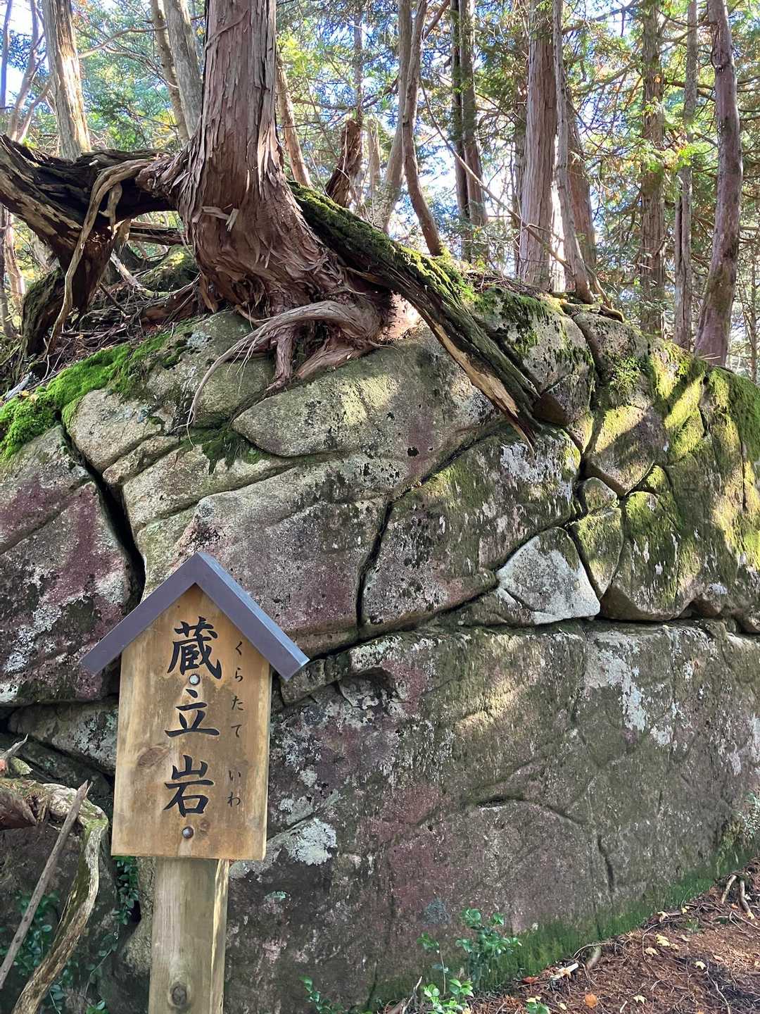 2階建構造がおもしろい