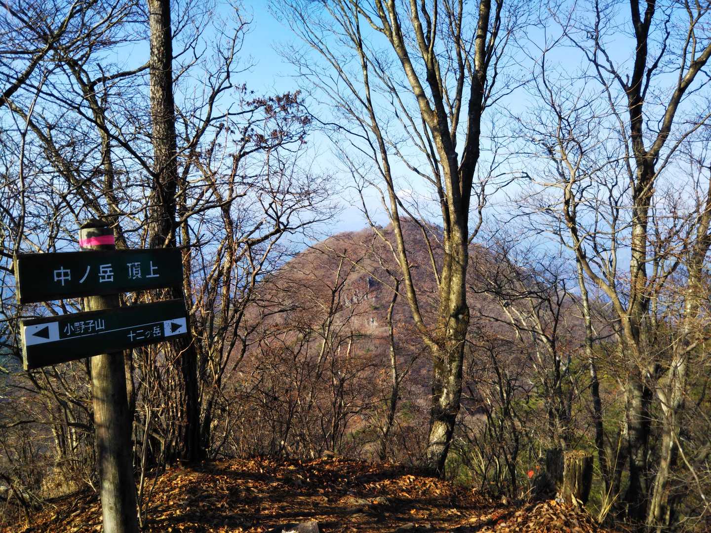 鞍部に一旦下り、登り返して中ノ岳山頂到着！周りを木々に囲まれていますが、落葉しているのでまあまあ見通しがあります😉
歩いてきた十二ヶ岳を振り返ります！