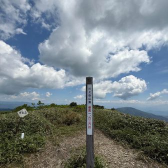 360度パノラマ！
