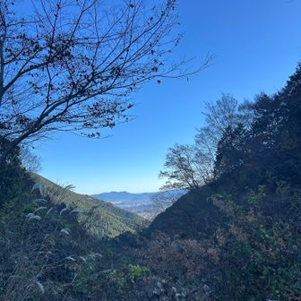 自宅から1時間弱🚗💨 
約2か月半ぶりの金剛山⛰️
今年の秋🍂は、金剛山⛰️に登れてない😆

kazuさんとスライド✨
しばし談笑
お遍路などお話を聞き、楽しかった😄