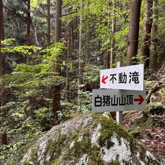 不動滝へ