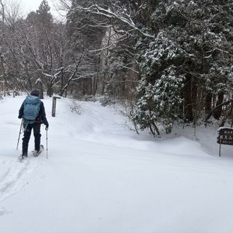交差点　今回は左に曲がって前医王山から周回します