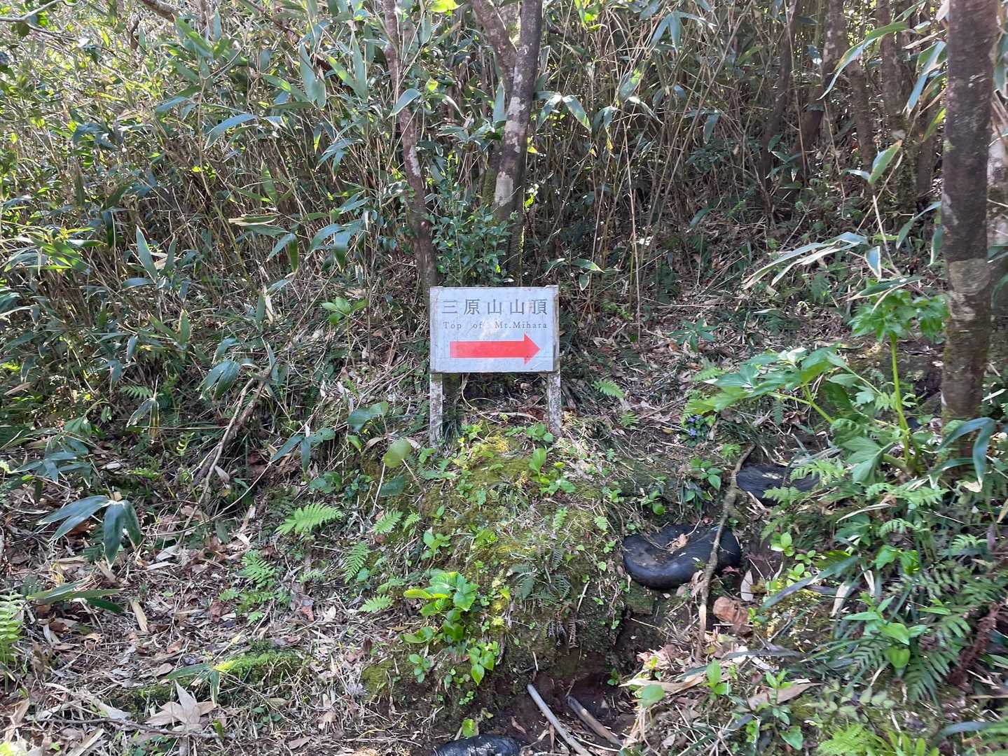 ここまでは階段、ここからは登山道