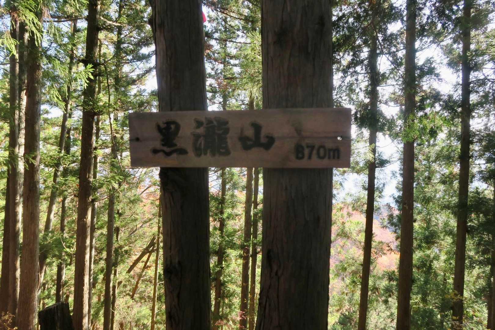 黒滝山山頂、
展望なし、小休止後すぐに戻ります。