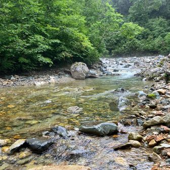 渡渉🌊
今日は水量が少なかったみたいですが
すっごい冷たかった〜