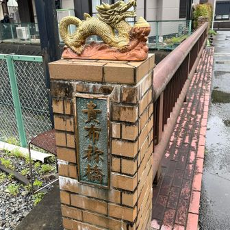 🐉