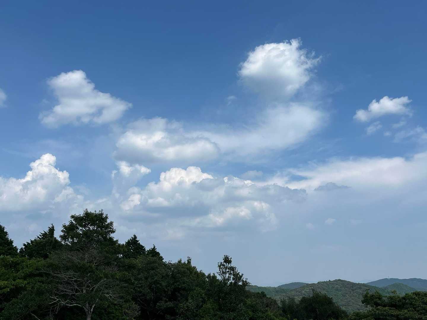 夏空の雲は☁️いいですねぇ〜😙