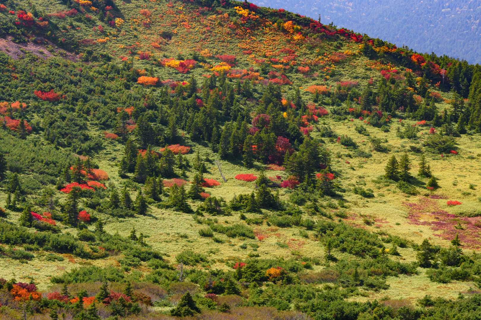一切経山の写真