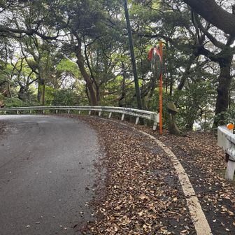 少し歩いて、ここから海側に降りる！

すでに海の音が聞こえてて期待高まる。
番場浦遊歩道と言うらしい。