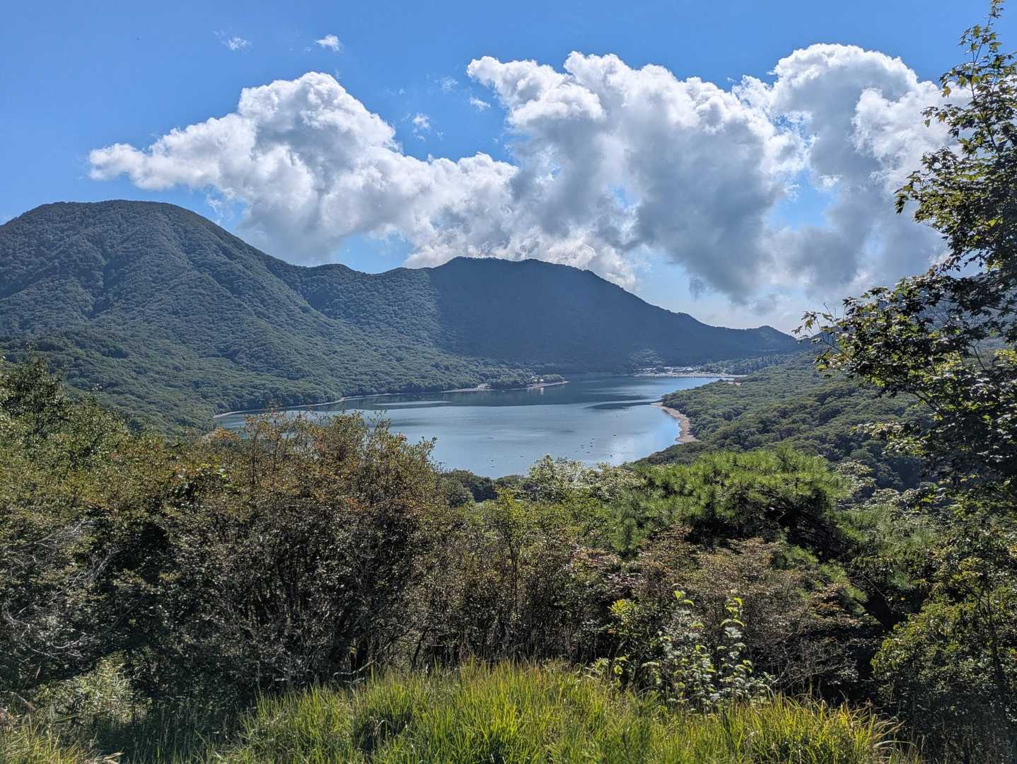 出張山-薬師岳-陣笠山 周回コースの写真