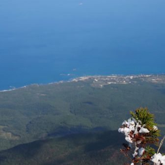頂上近くは雪が残ってた

この時季の屋久島の山は
気温が高くても手袋は絶対冬山用
私は失敗
岩場❄️で指あき手袋びしょ濡れて風に晒され⚠️

明日はちゃんとする  笑