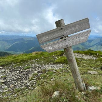 ホッケ山着きました⛰️
折立山と様相が全然変わりました😲